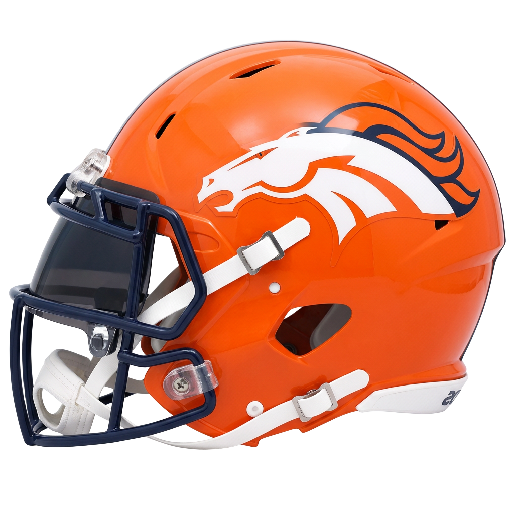 DEN helmet